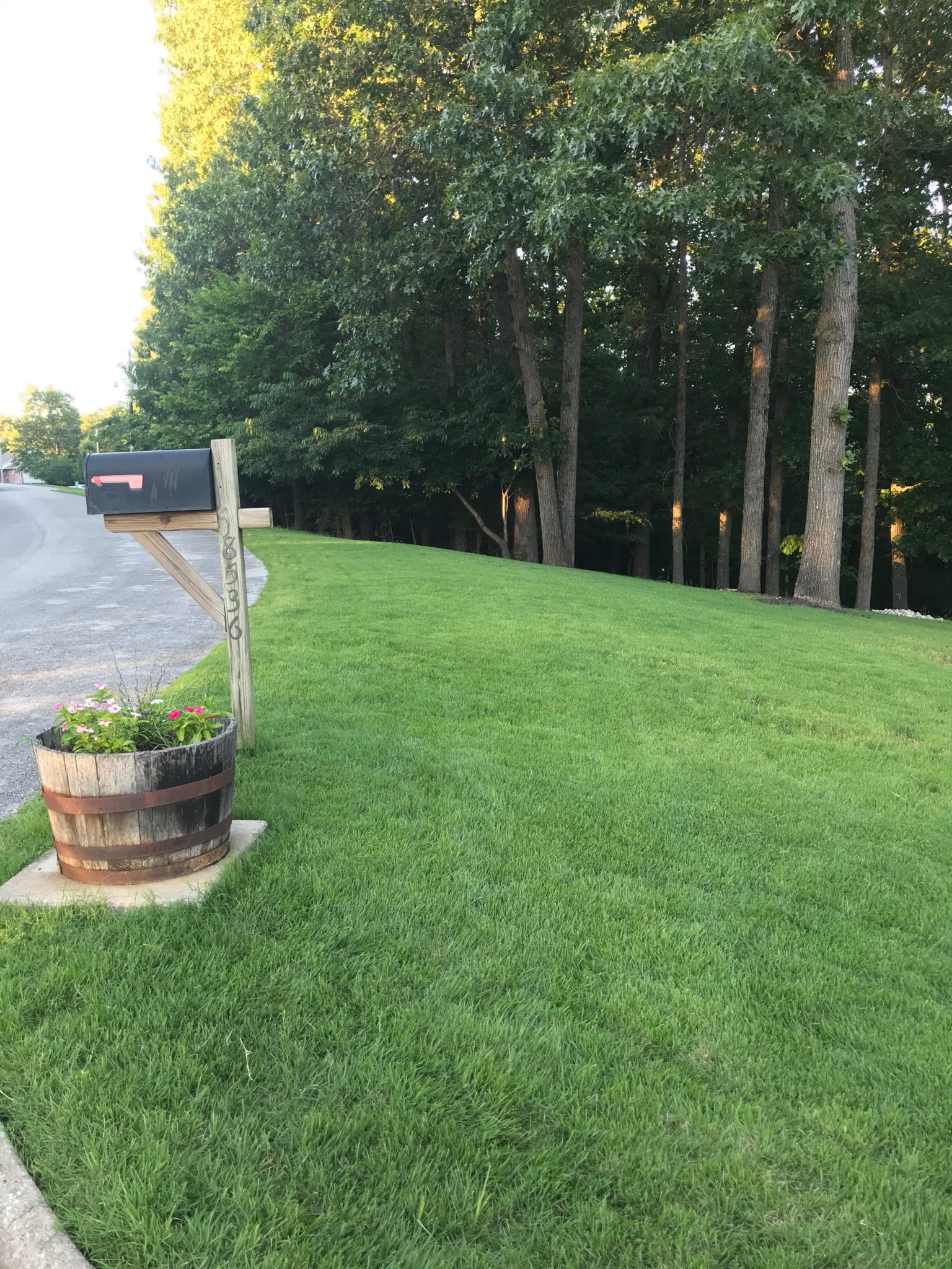 Palisades Zoysia Grass Stands up to Wear Turf Connections