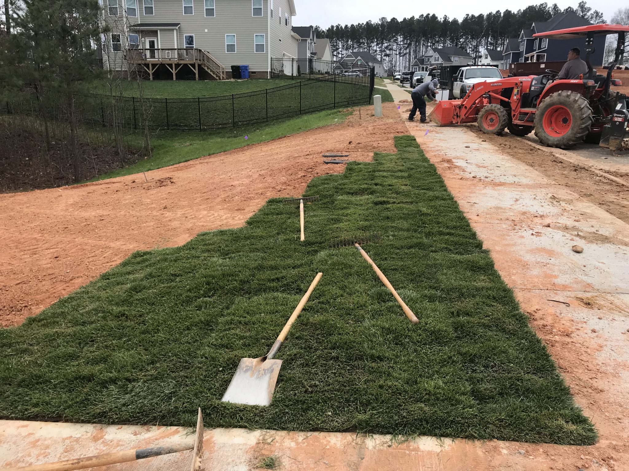 What’s the Best Time to Plant Fescue Grass? Turf Connections